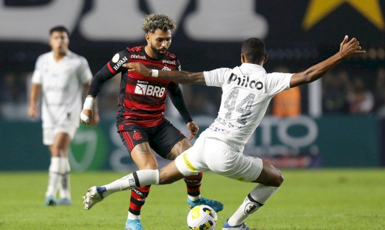 Em clima de Libertadores, Flamengo encara Santos pelo Brasileirão