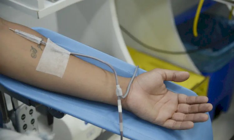 Dia Mundial do Doador de Sangue: saiba mais sobre a doação regular