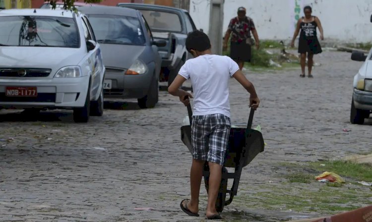 Auditores identificam 301 menores realizando trabalho infantil ilegal