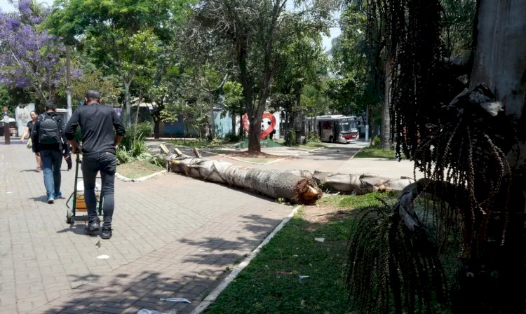 SP: após apagão, bares e restaurantes pedem mais prazo para impostos