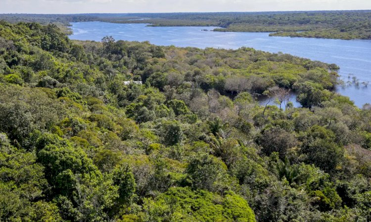 Corpo de piloto desaparecido na Amazônia é encontrado