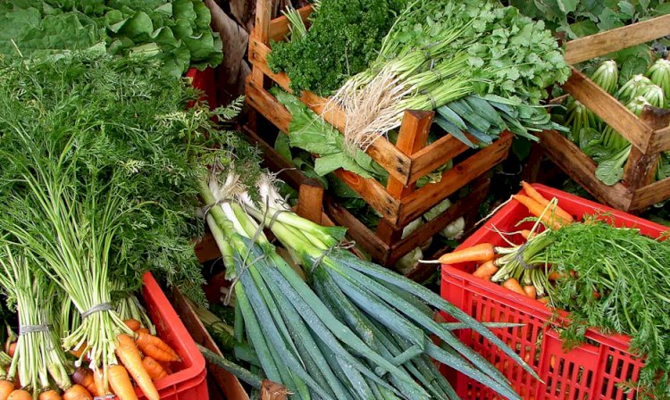 Custo de cesta básica ideal para uma pessoa chega a R$ 432 em abril