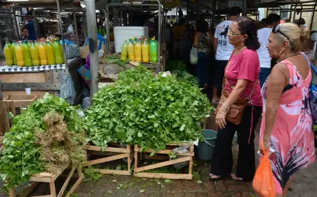 Mercado do Povo levará mercados modulares a pequenas cidades