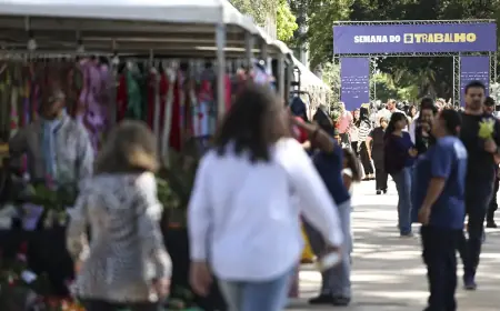 Desemprego no trimestre cai para menor taxa da série histórica