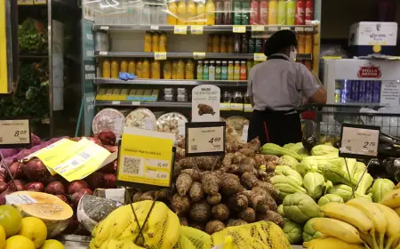 Comissão adia votação da PEC que reduz jornada para 40h e mantém 6x1