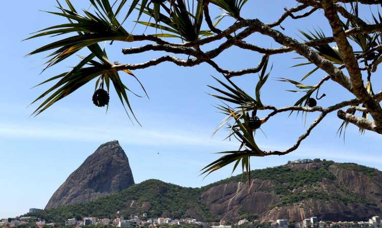 Bondinho Pão de Açúcar completa 110 anos