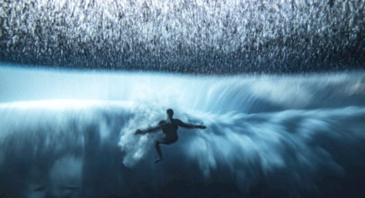 Criaturas das profundezas: concurso escolhe as melhores fotos da vida marinha