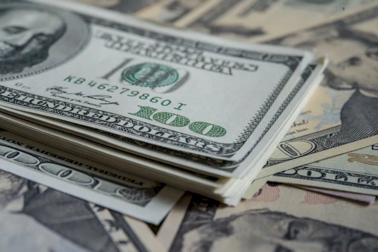 Dólar fecha em baixa à espera de decisões sobre Selic e orçamento