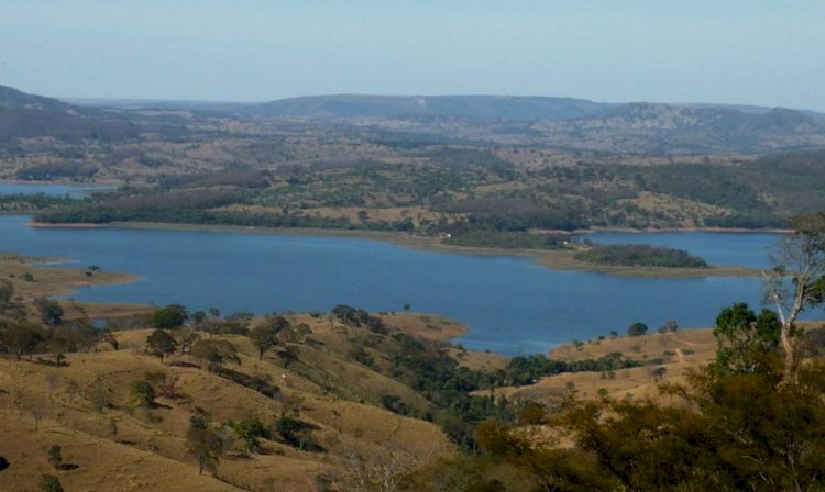 Classificação da Mata Atlântica em Goiás define uso e conservação