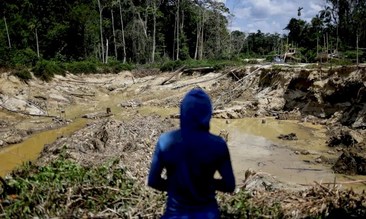 Operação da PF combate garimpo ilegal na Terra Indígena Yanomami