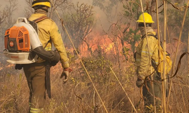 Ações do país evitaram cenário pior de secas e queimadas, diz Marina