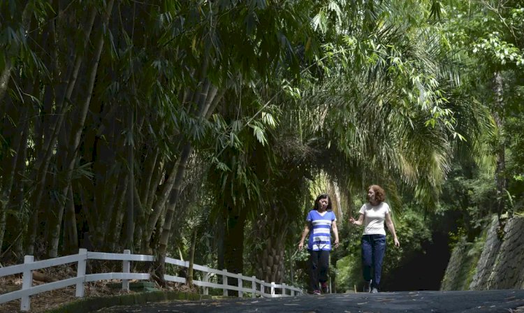 Após incêndios, São Paulo reabre hoje 69 parques estaduais