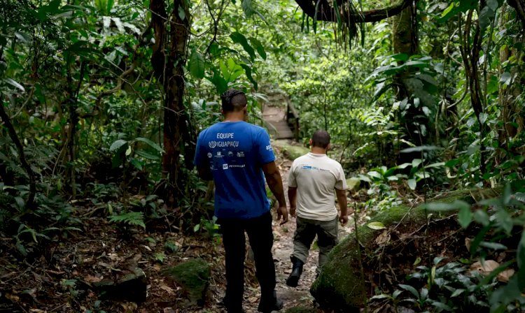 Educação ambiental busca aproximar a população da Mata Atlântica