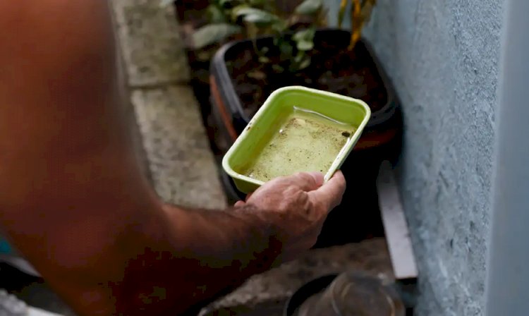 Menina é primeira morte por dengue confirmada na capital de São Paulo