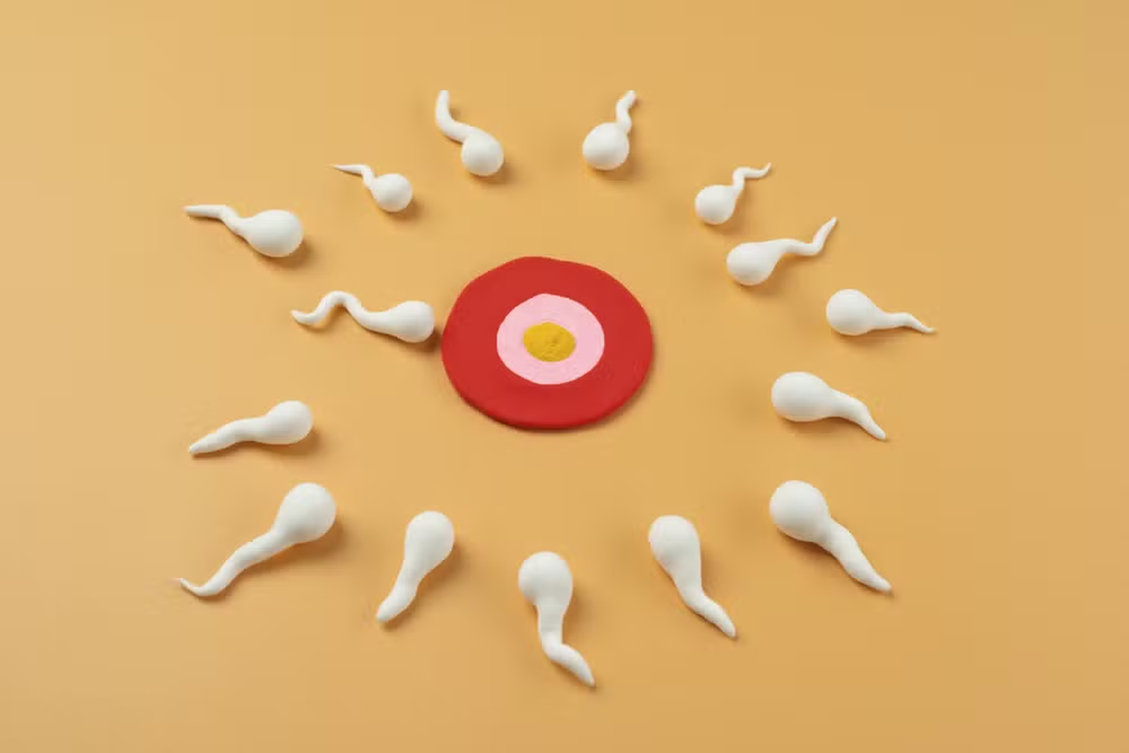 Óvulo pode “selecionar” o espermatozoide mais rápido e influenciar qual deles irá fecundá-lo, apontam estudos.